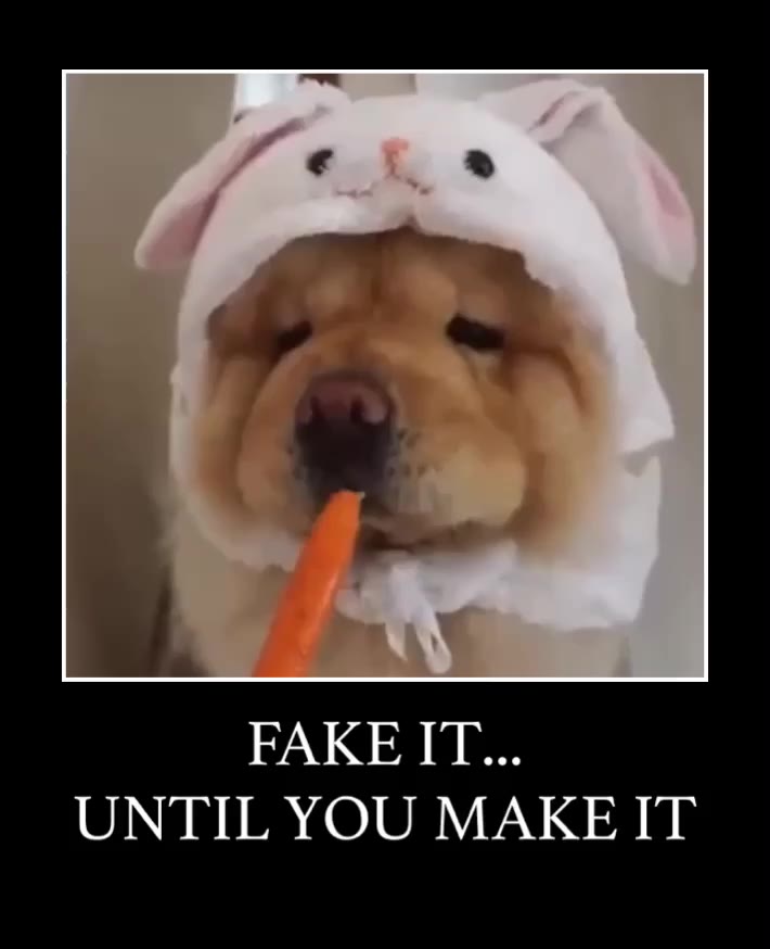FAKE IT...
UNTIL YOU MAKE IT