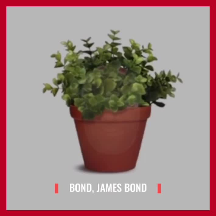 Bond, James Bond