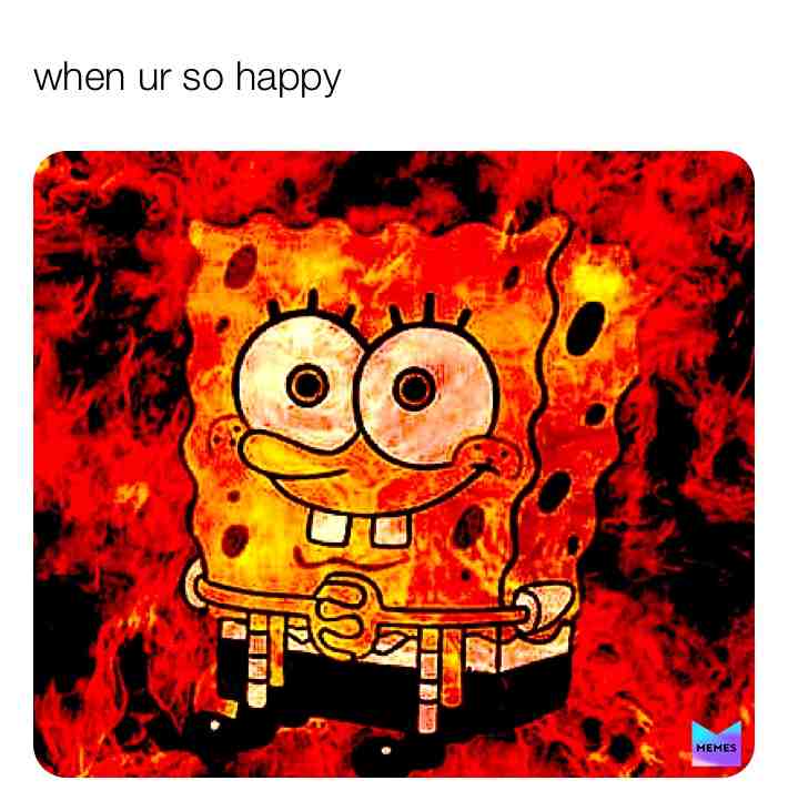 Meme shared by @camokitty
