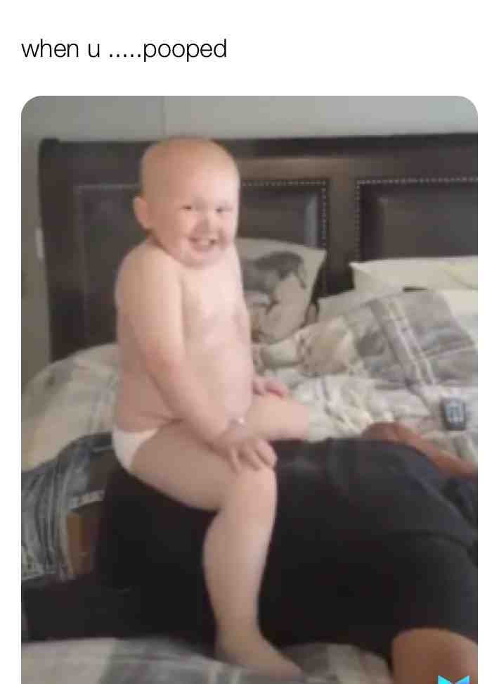 Meme shared by @camokitty