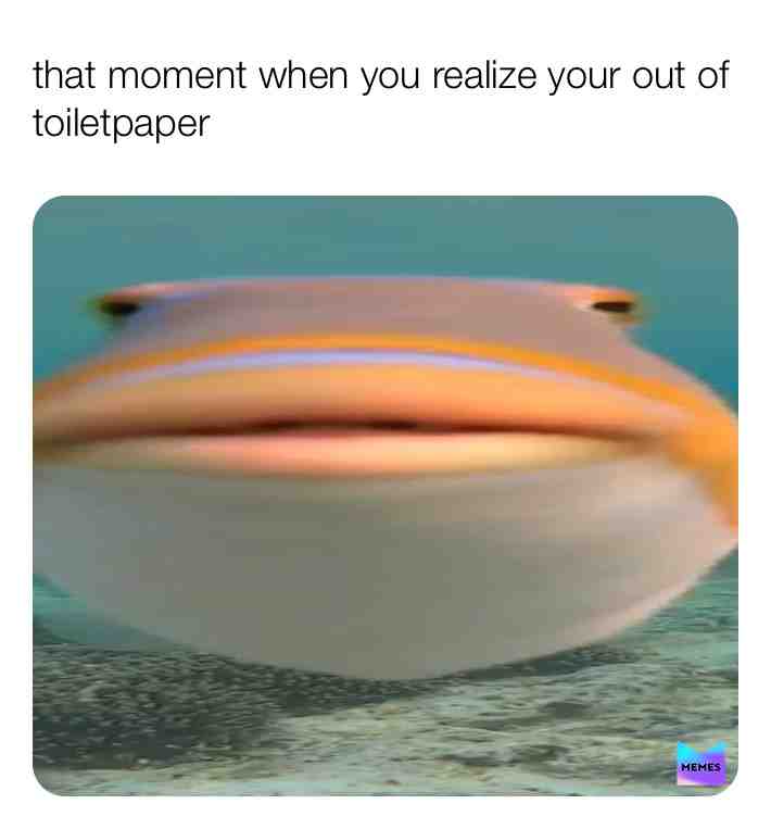 Meme shared by @camokitty