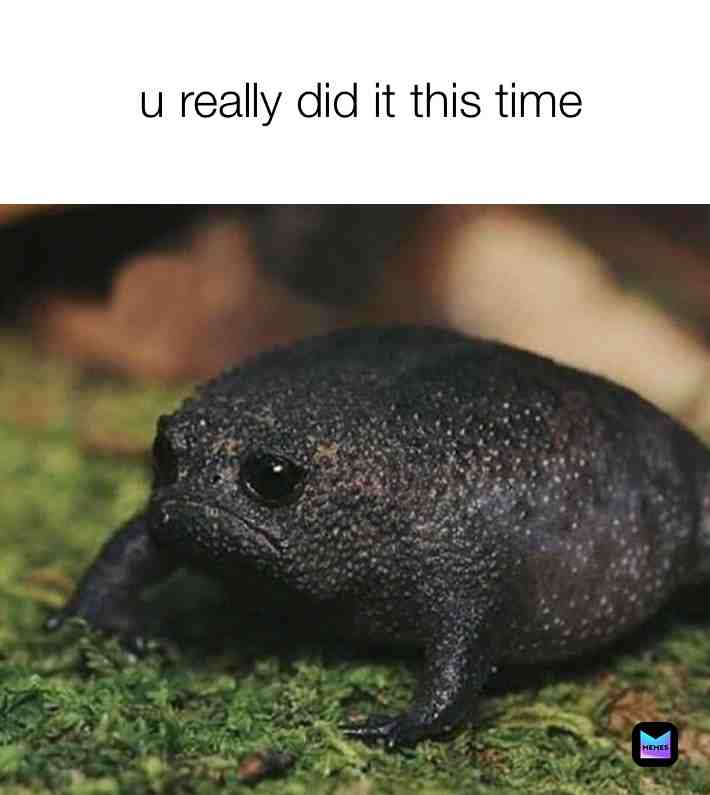 Meme shared by @camokitty