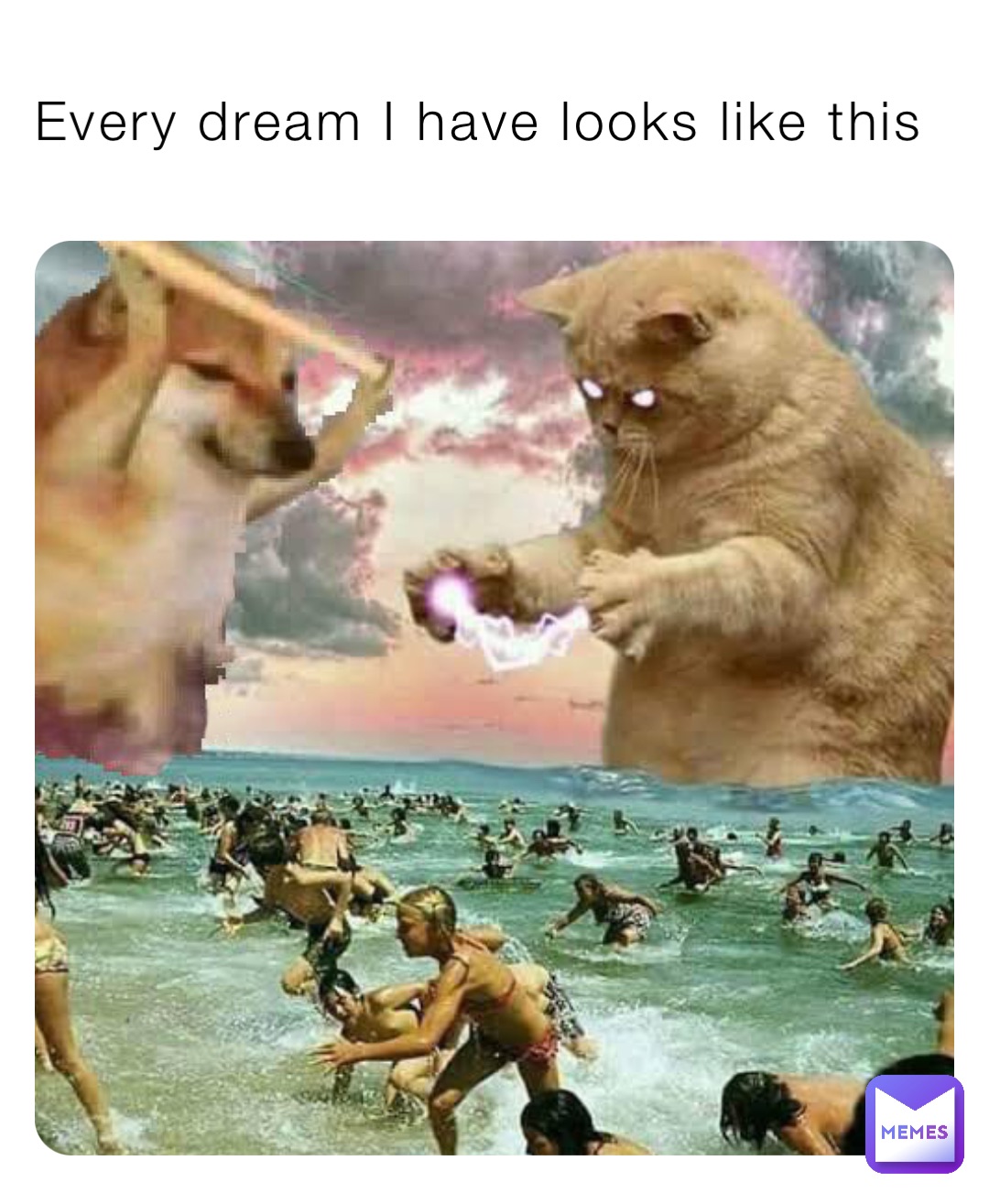 Every dream I have looks like this