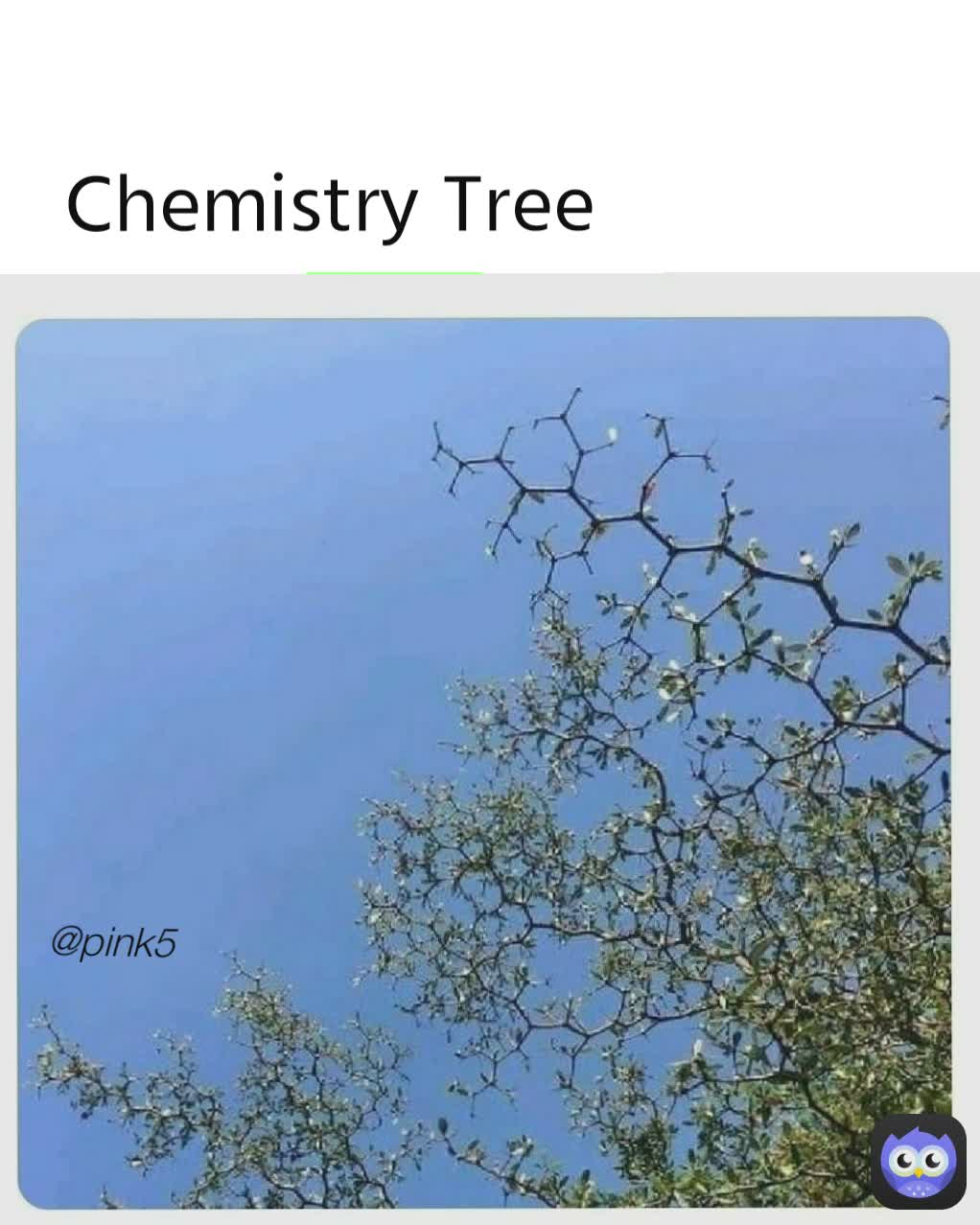 @pink5 Chemistry Tree