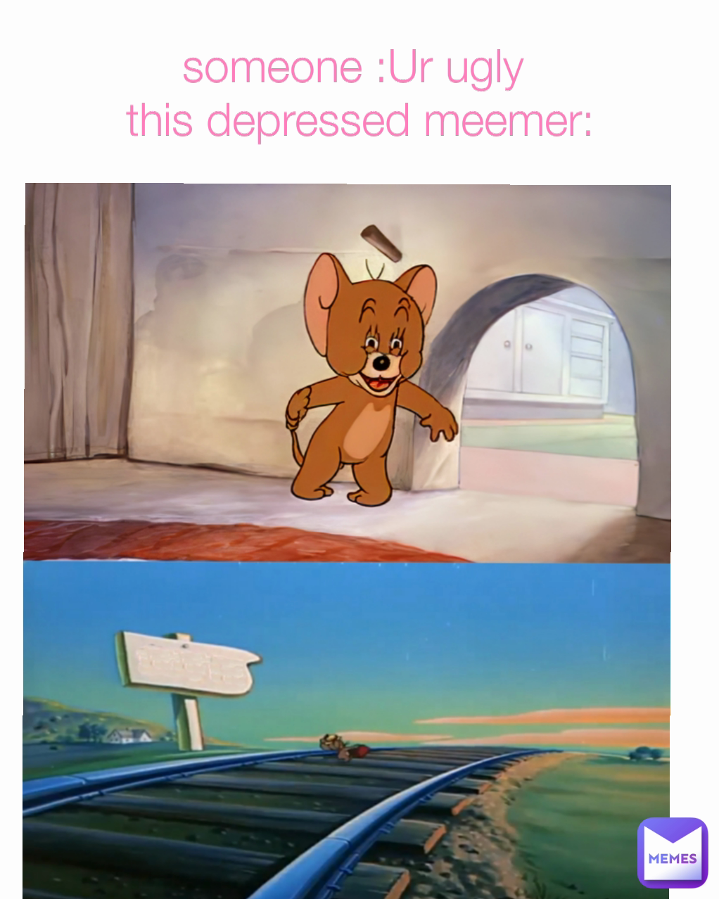 someone :Ur ugly 
this depressed meemer: