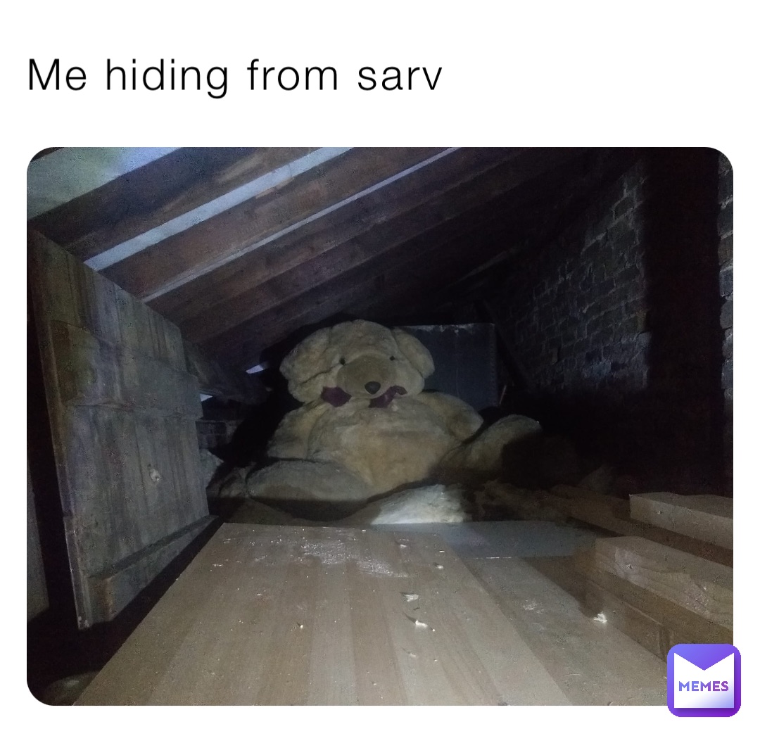 Me hiding from sarv