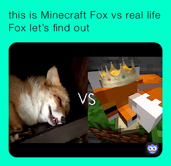 this is Minecraft Fox vs real life Fox let’s find out