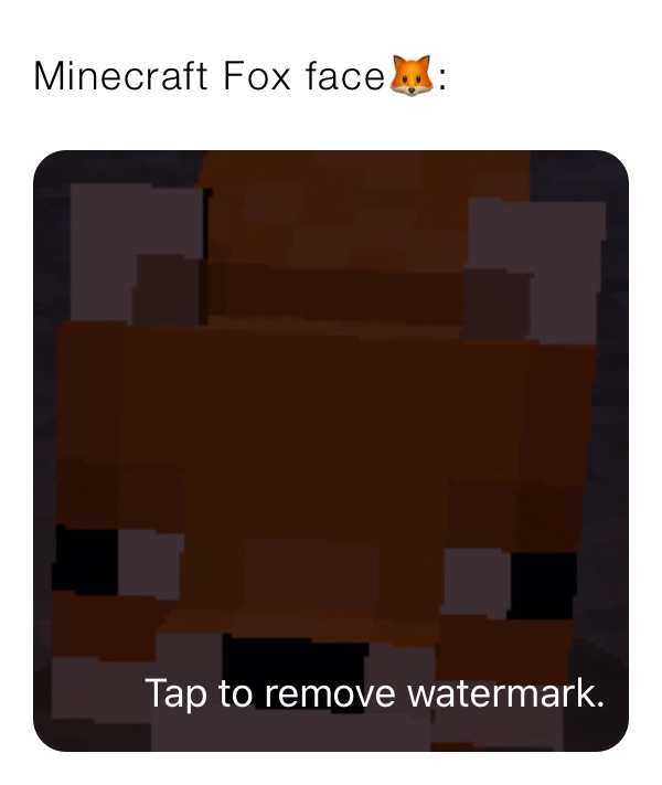 Minecraft Fox face🦊: