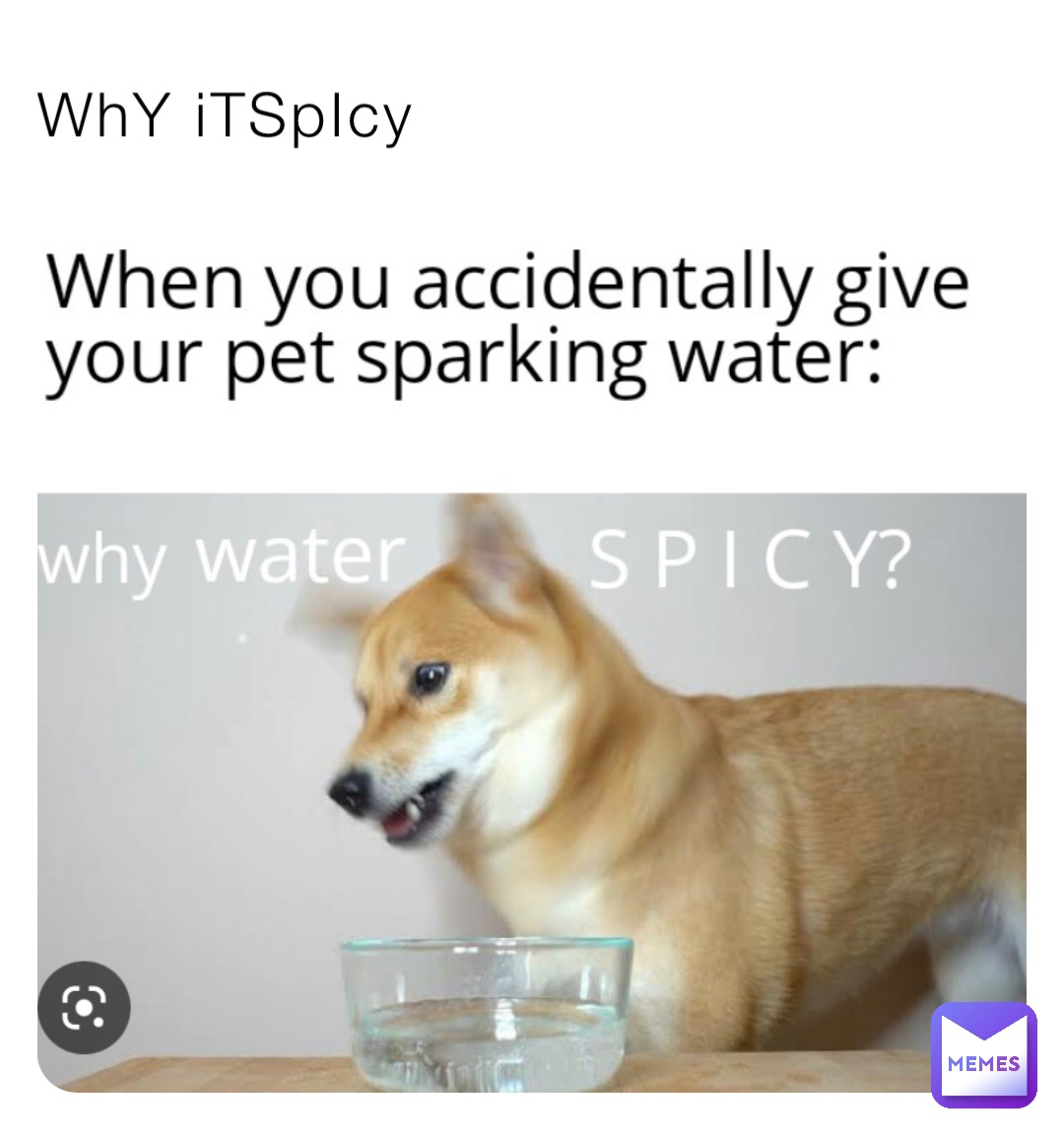 WhY iTSpIcy