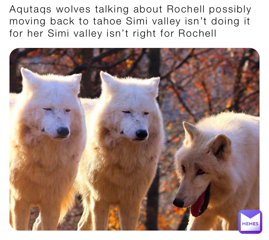 Aqutaqs wolves talking about Rochell possibly moving back to tahoe Simi valley isn’t doing it for her Simi valley isn’t right for Rochell
