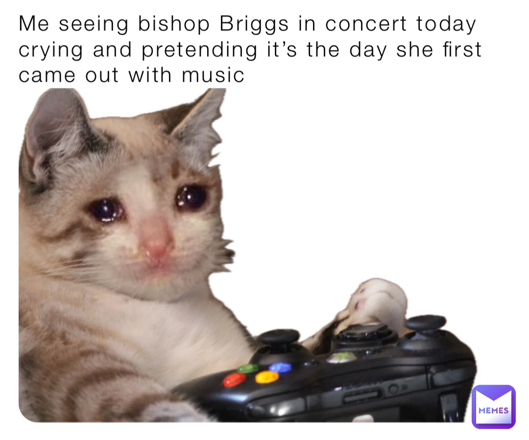 Me seeing bishop Briggs in concert today crying and pretending it’s the day she first came out with music