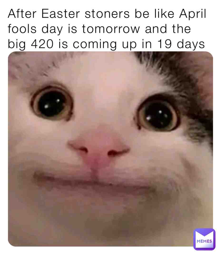 Meme preview