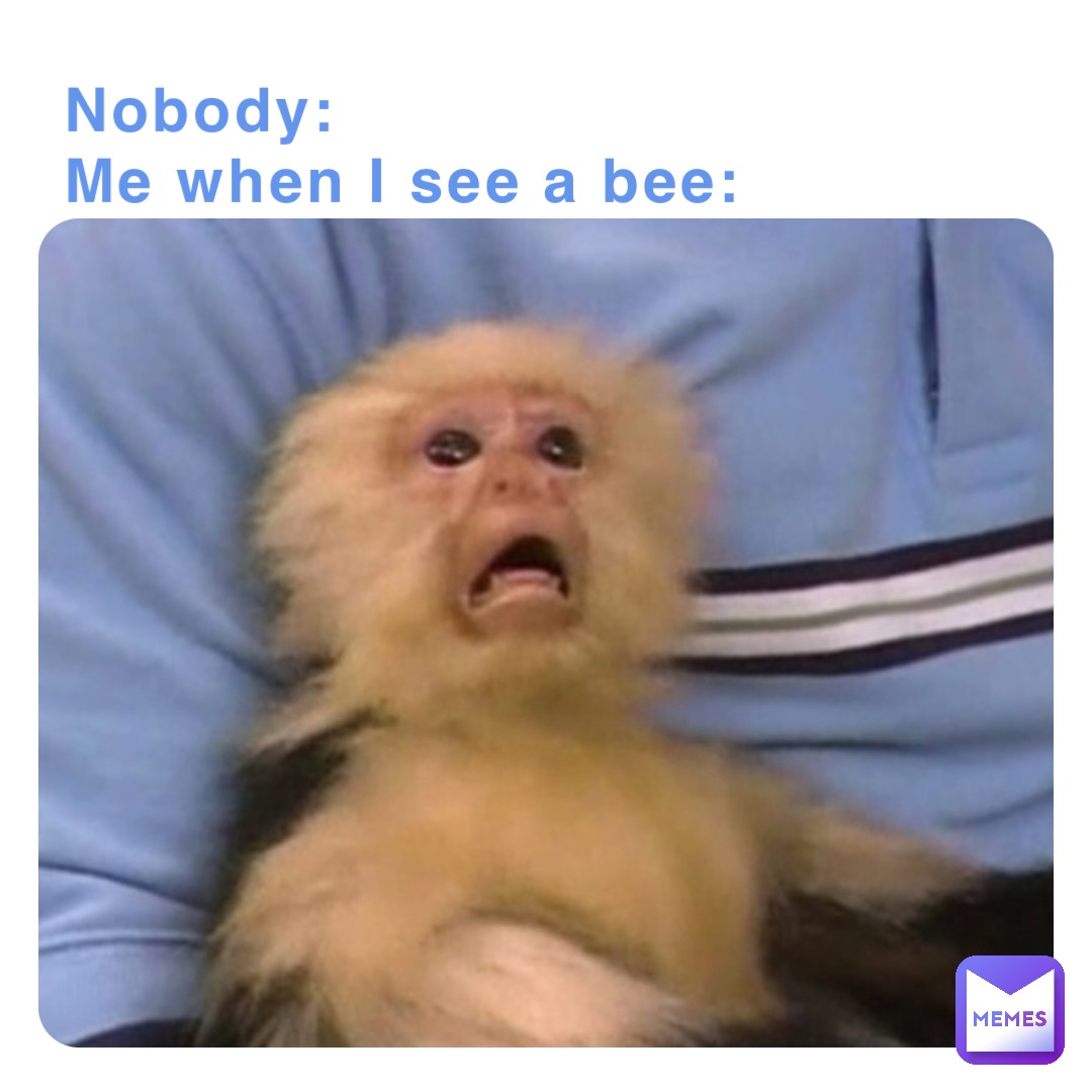 Nobody:
Me when I see a bee: