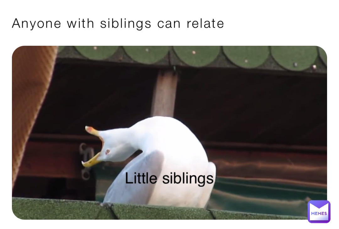 Anyone with siblings can relate Little siblings