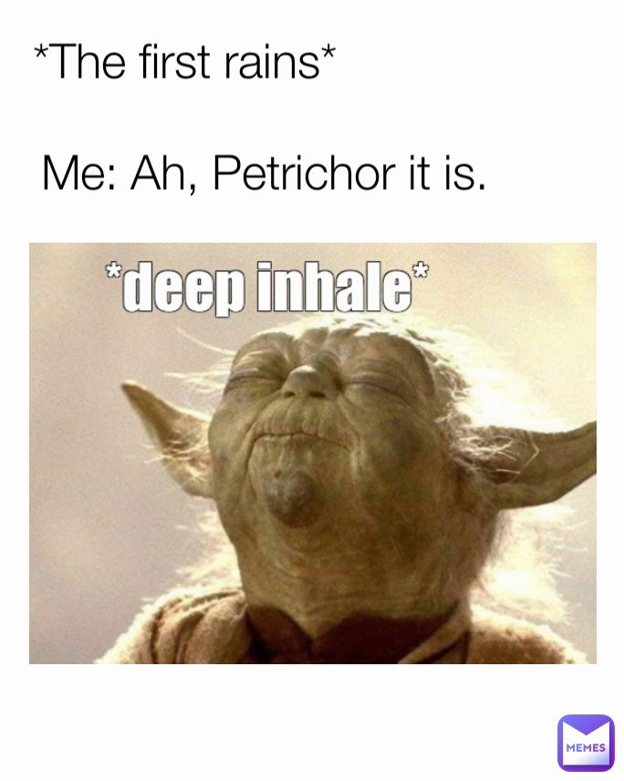 *The first rains* Me: Ah, Petrichor it is.