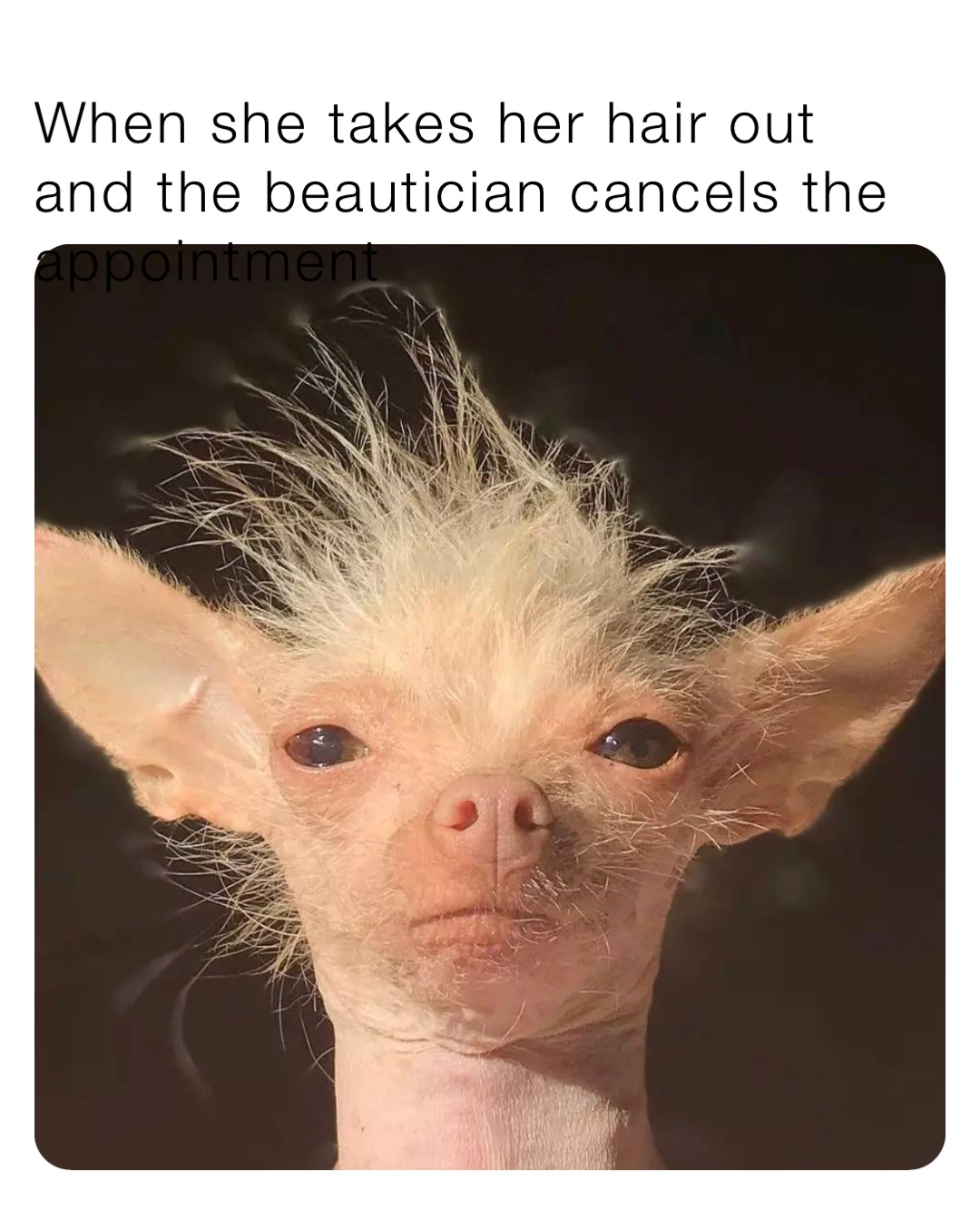 When she takes her hair out and the beautician cancels the appointment