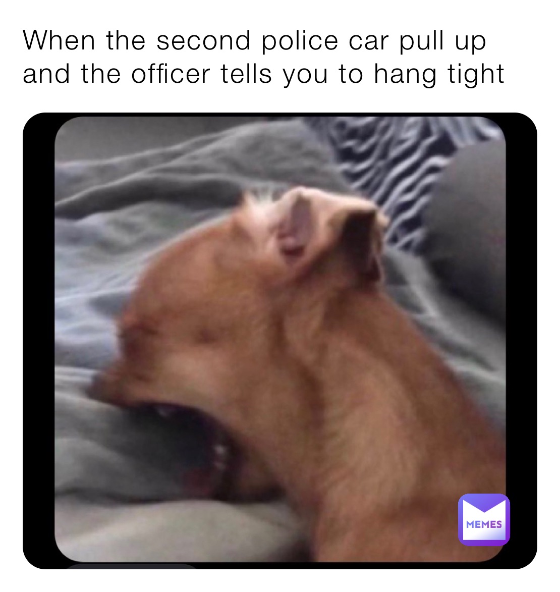 When the second police car pull up and the officer tells you to hang