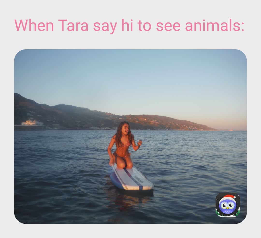 Meme by shadowshinobi29