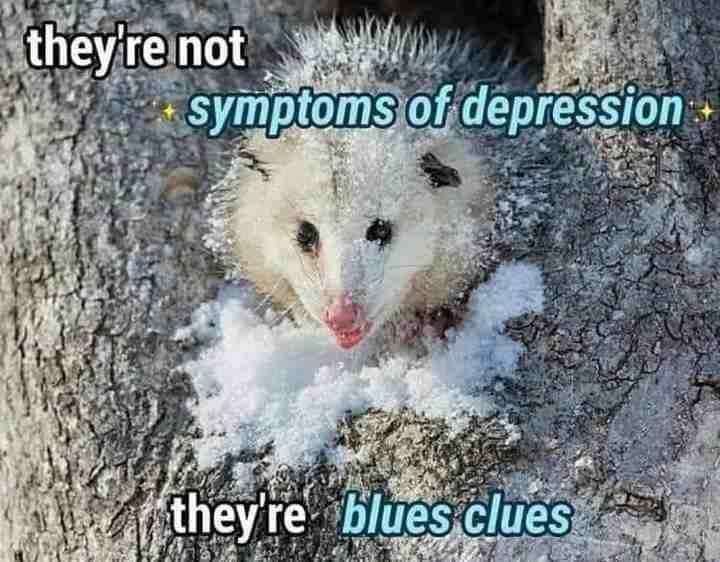 Meme shared by @Nico12345