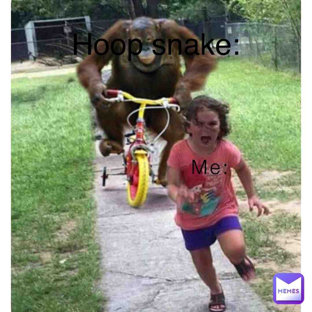 Meme shared by @Lagrayza123