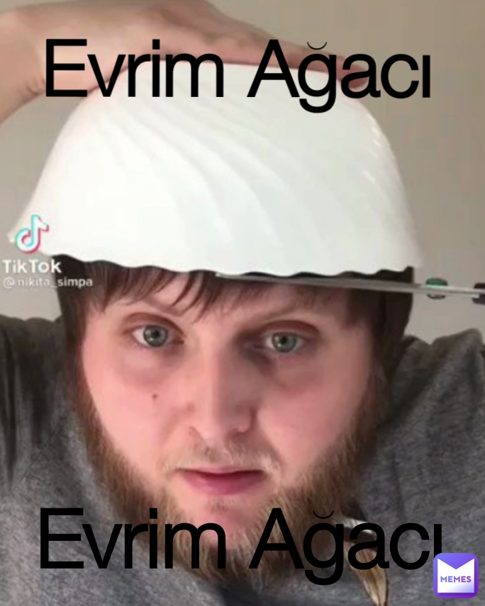 Evrim Ağacı Evrim Ağacı
