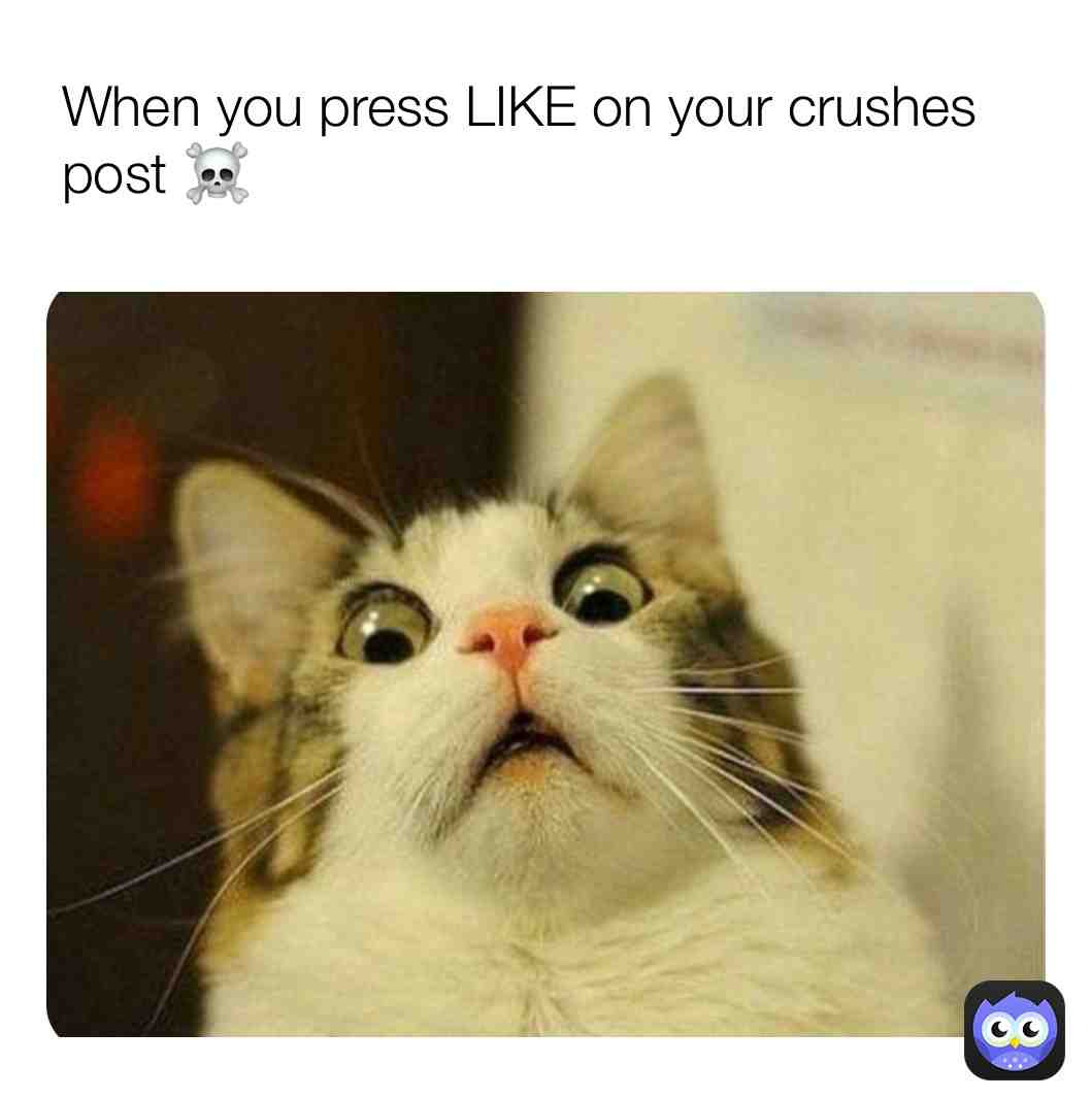 An the whole world stops an you feel like crying 🤣 #scared #crushes #imdying
