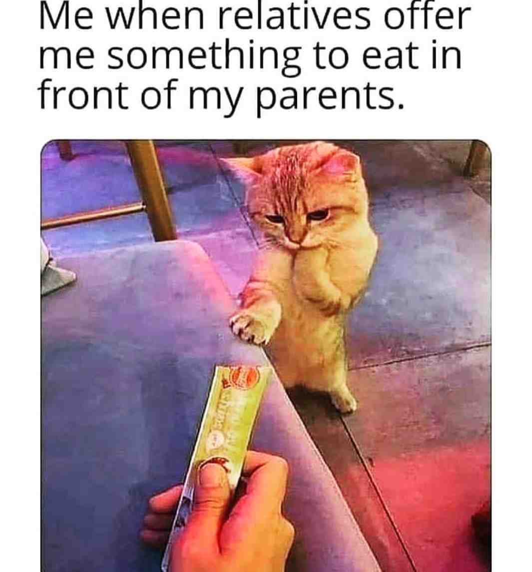 Me !!😂 #cats #lol #funnymemes