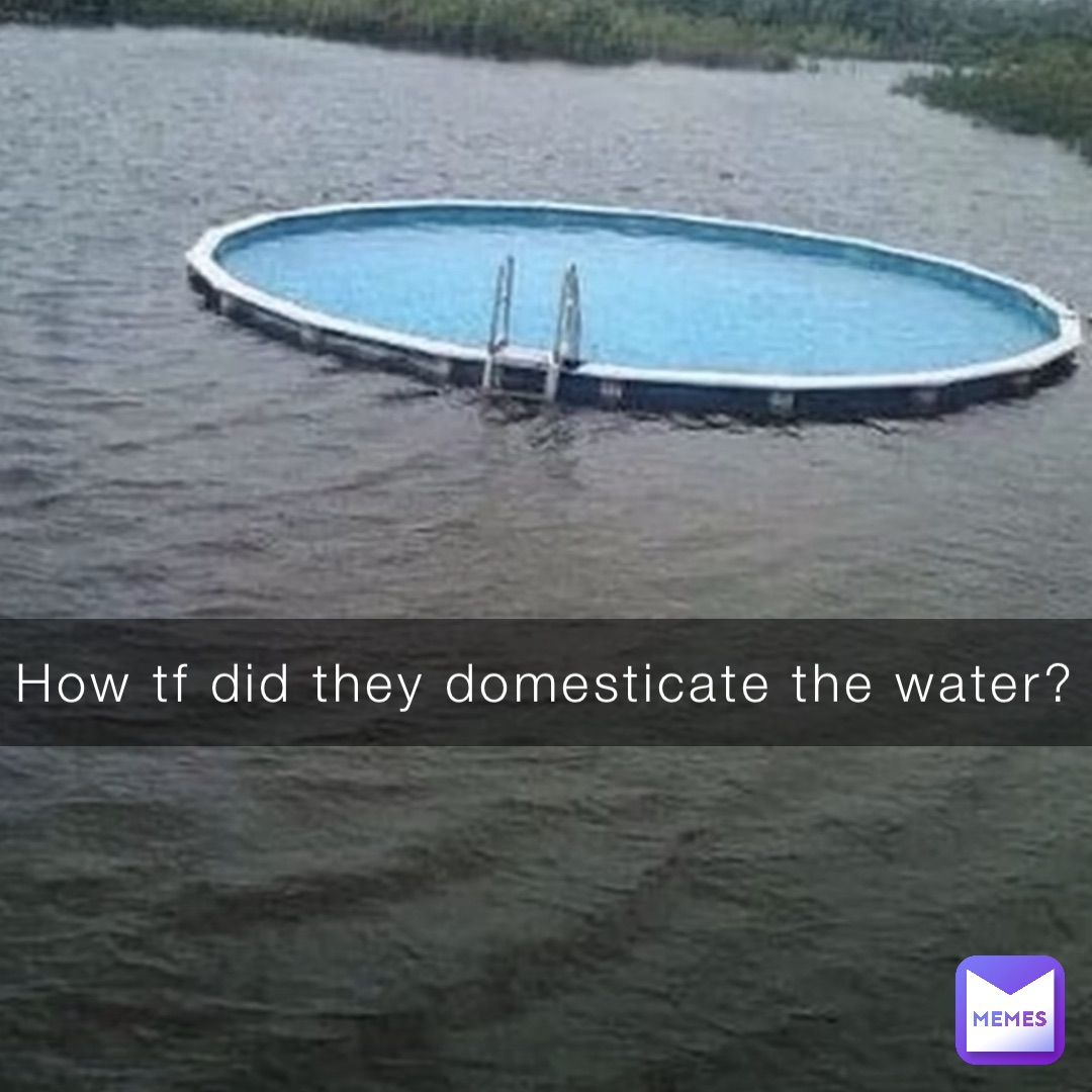 How tf did they domesticate the water?