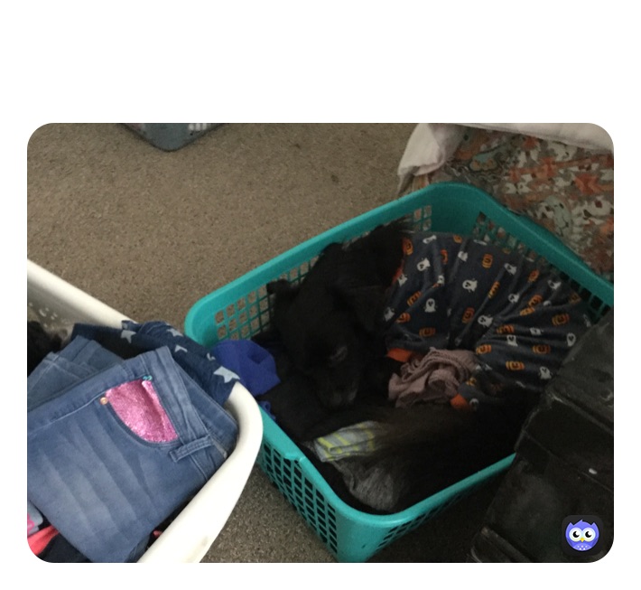 Meme by funnygurliscool