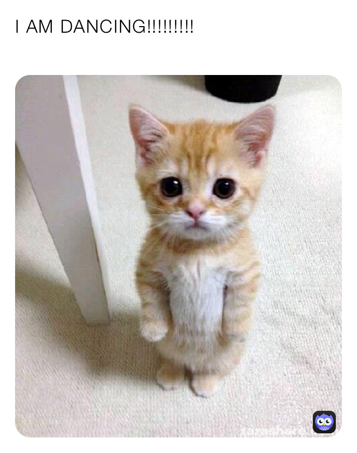 Meme by funnygurliscool