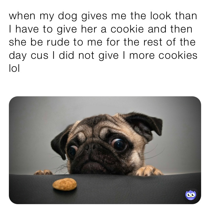 Meme by funnygurliscool