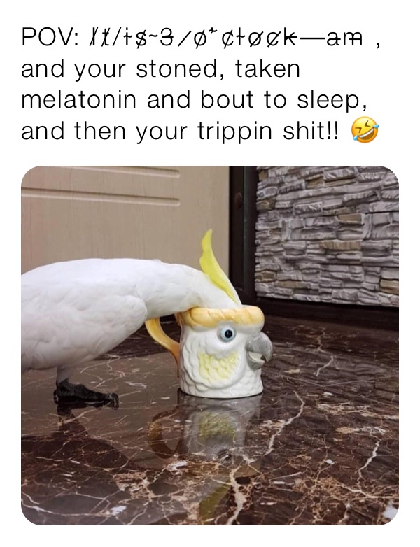 POV: I̸t̸ ̸i̴s̸ ̴3̵ ̷o̸’̴c̸l̴o̷c̷k̵ ̶a̵m̵ , and your stoned, taken melatonin and bout to sleep, and then your trippin shit!! 🤣