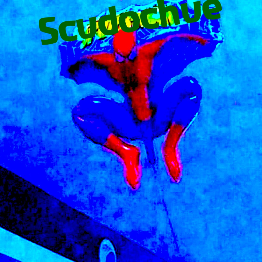 Scudochue