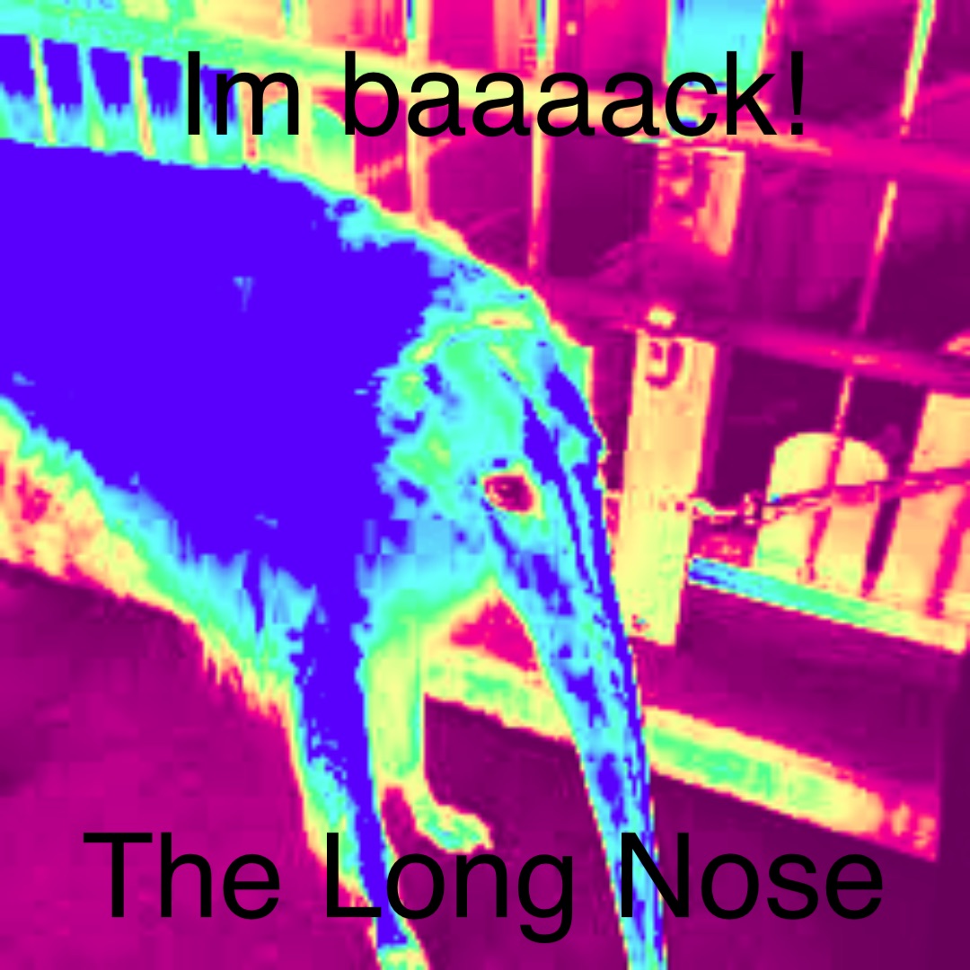 Im baaaack! The Long Nose