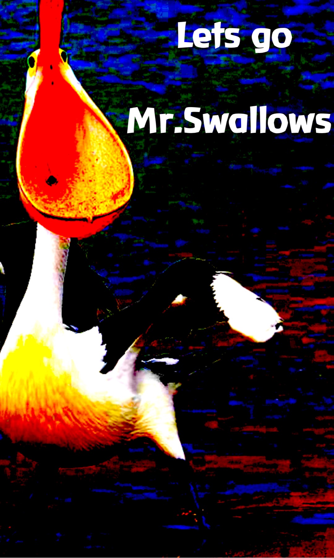 Lets go 

Mr.Swallows