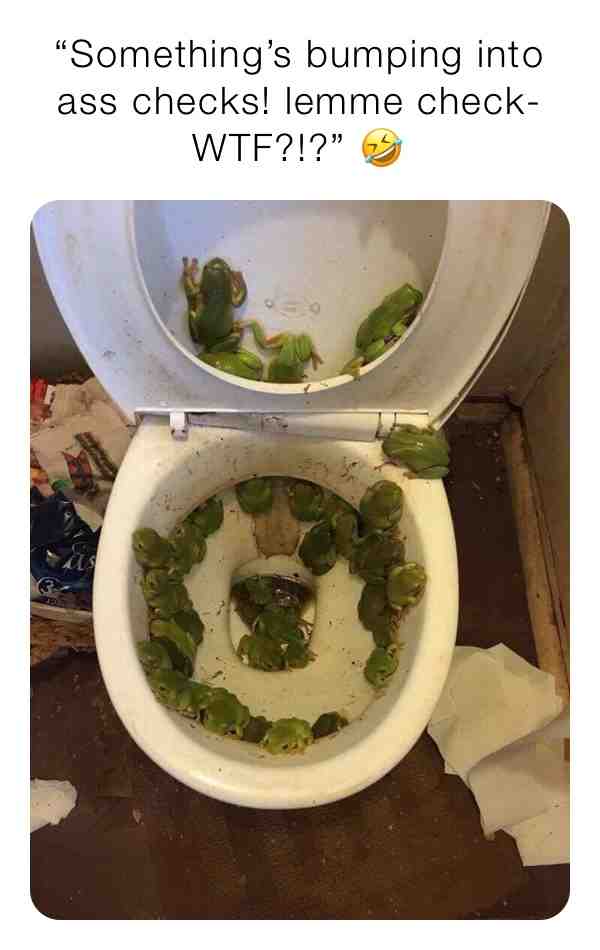 #cursed #cursedimages #toilet #frogs
