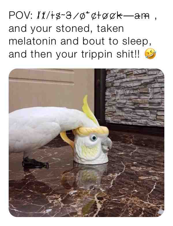 Would not advise! \u26a0\ufe0f\u26a0\ufe0f\ud83d\ude02
#stoned #funny #nightmare