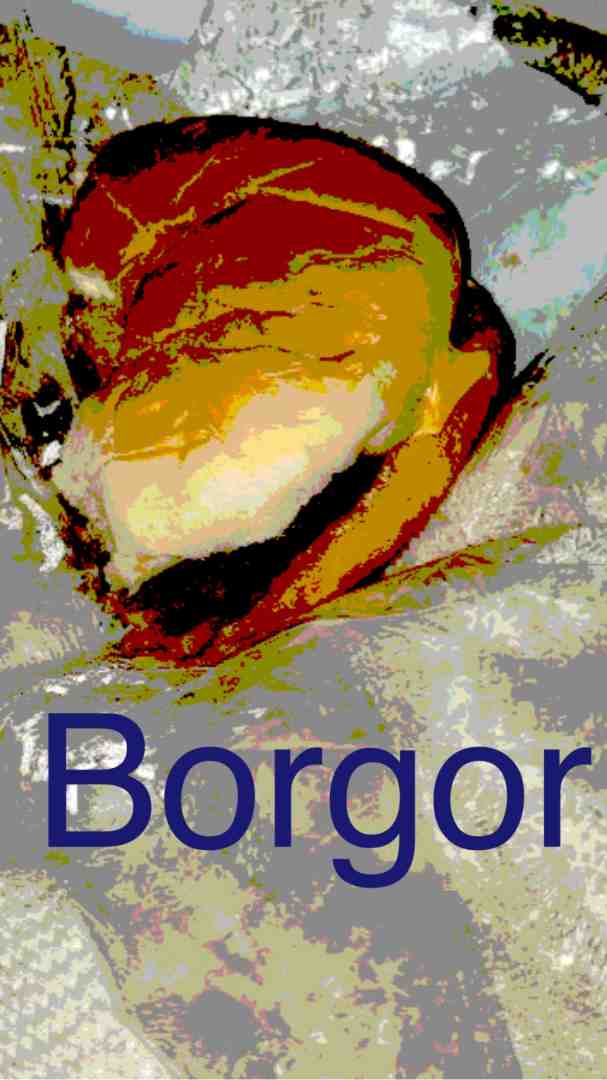 Borgor   #funny  #funnymemes  #nocontext  #shitpost  #burger  #cursed