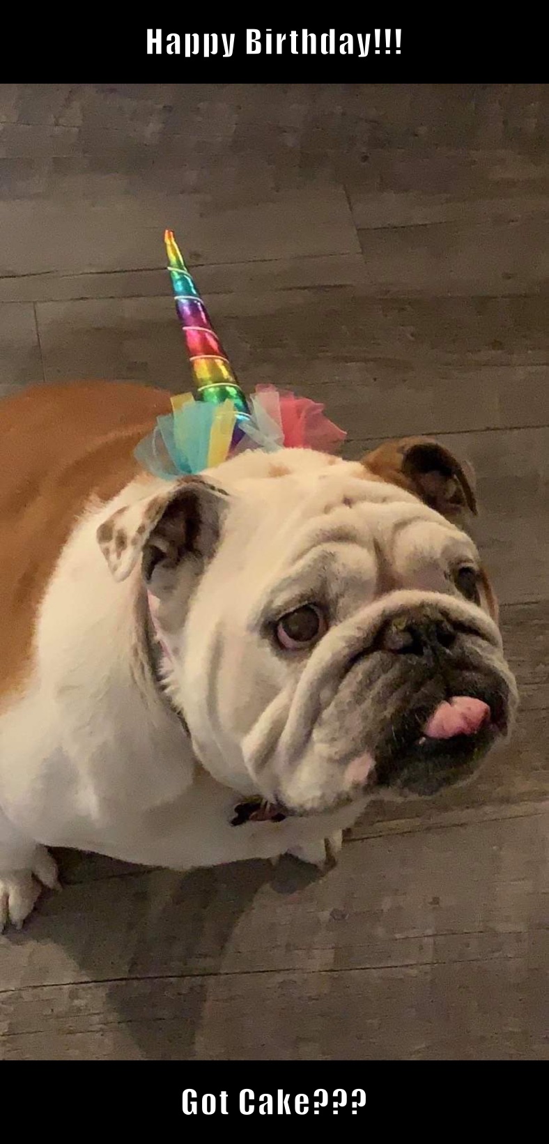 Happy Birthday!!! Got Cake???