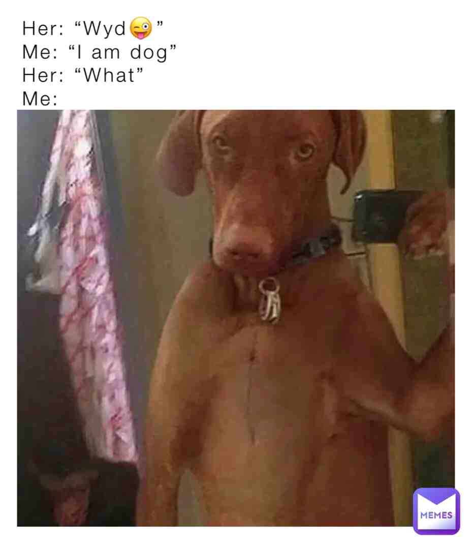 #funnymemes #funny #dogmemes #dogememegod #dog #doggo