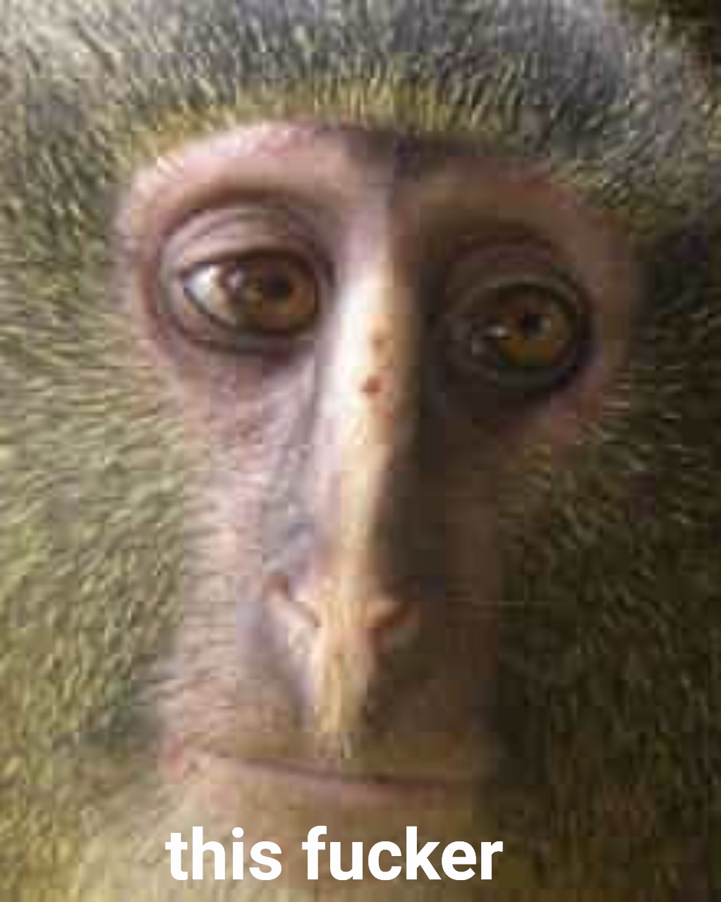 Meme by archonsoultrap