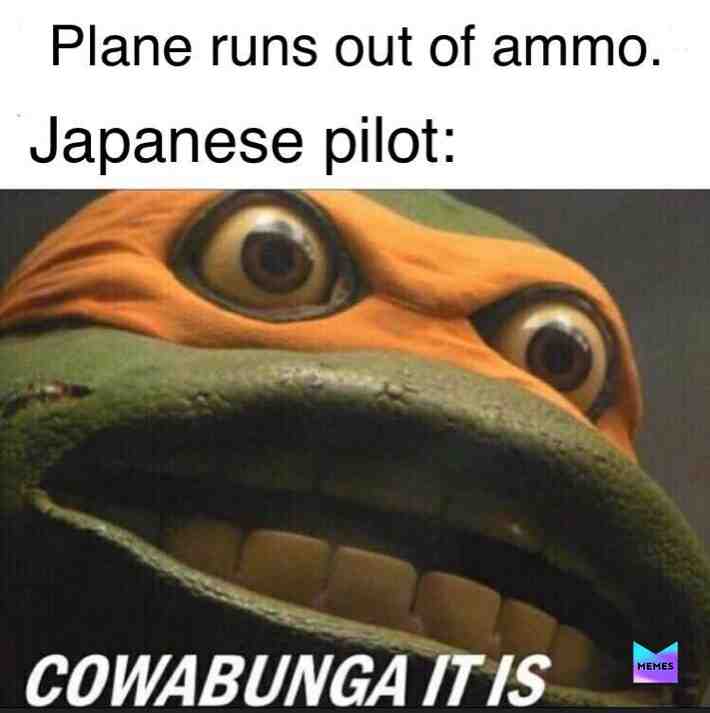 Kamikaze!  #memes  #japan  #wwii