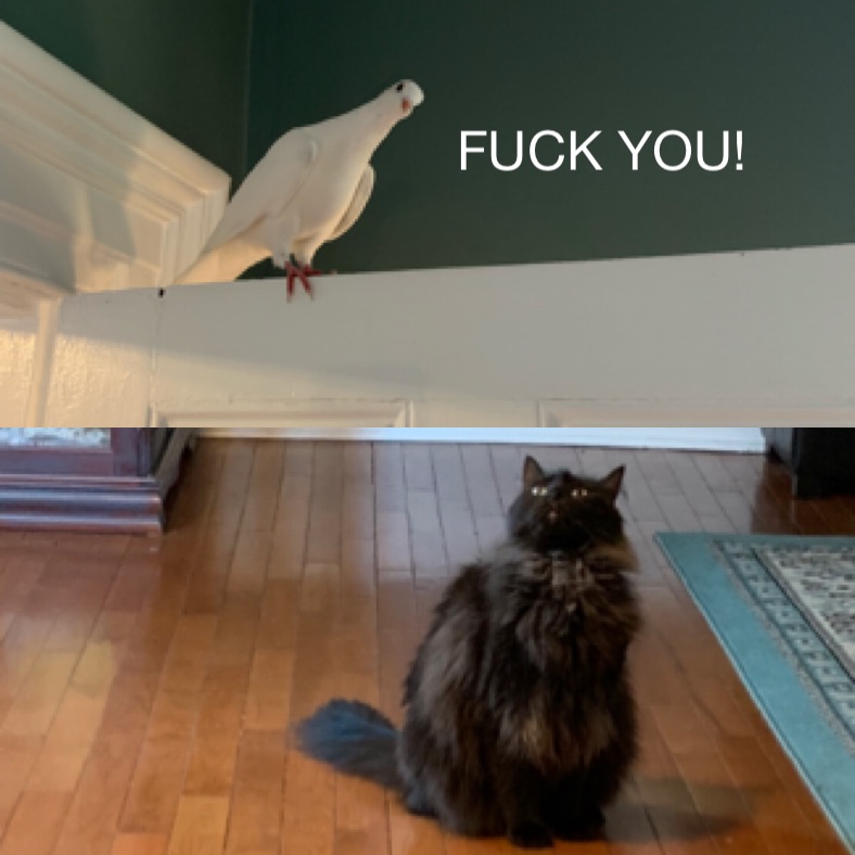 FUCK YOU!