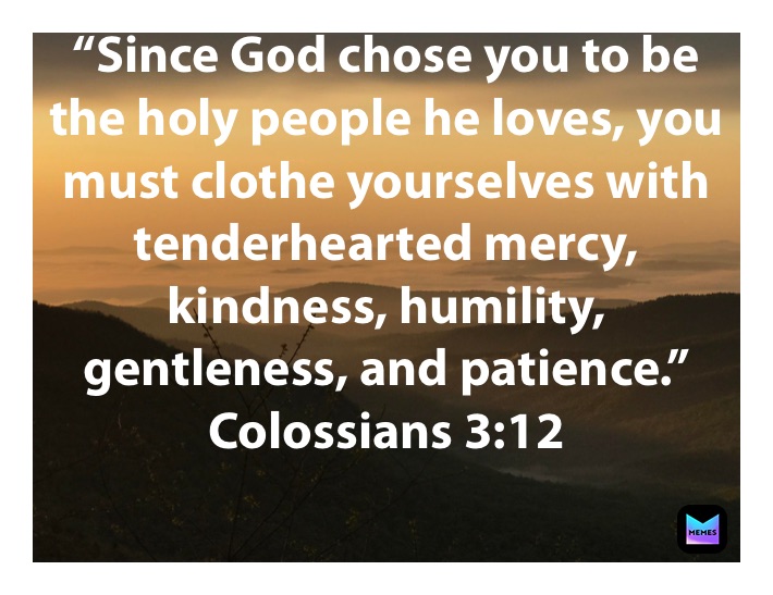 “Since God chose you to be the holy people he loves, you must clothe yourselves with tenderhearted mercy, kindness, humility, gentleness, and patience.”
‭‭Colossians‬ ‭3:12‬ 