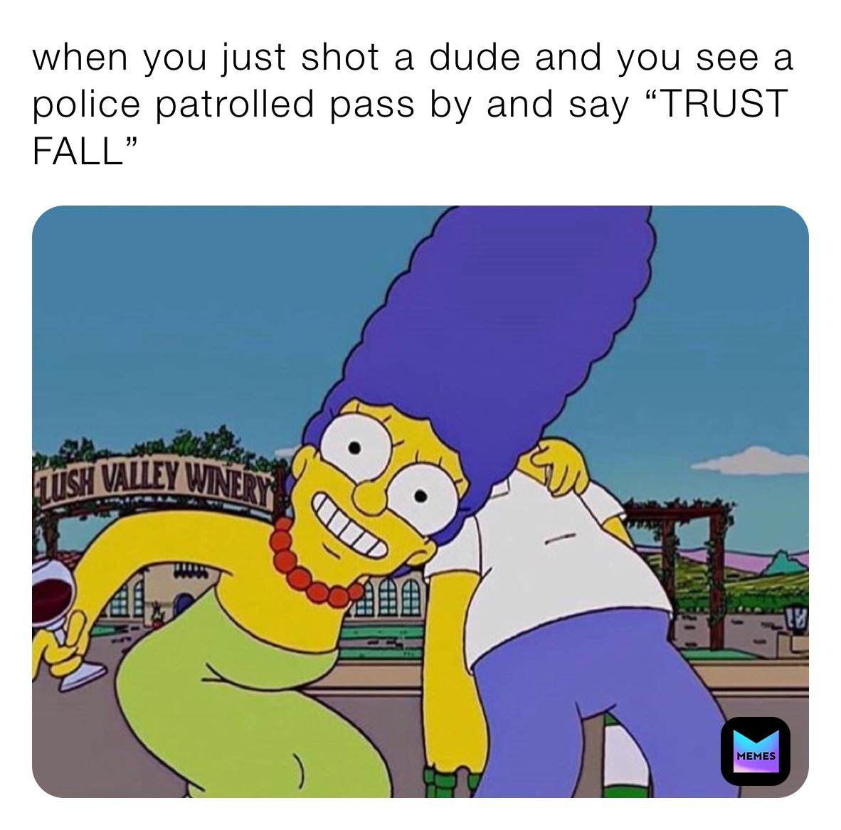 when you just shot a dude and you see a police patrolled pass by and say “TRUST FALL”