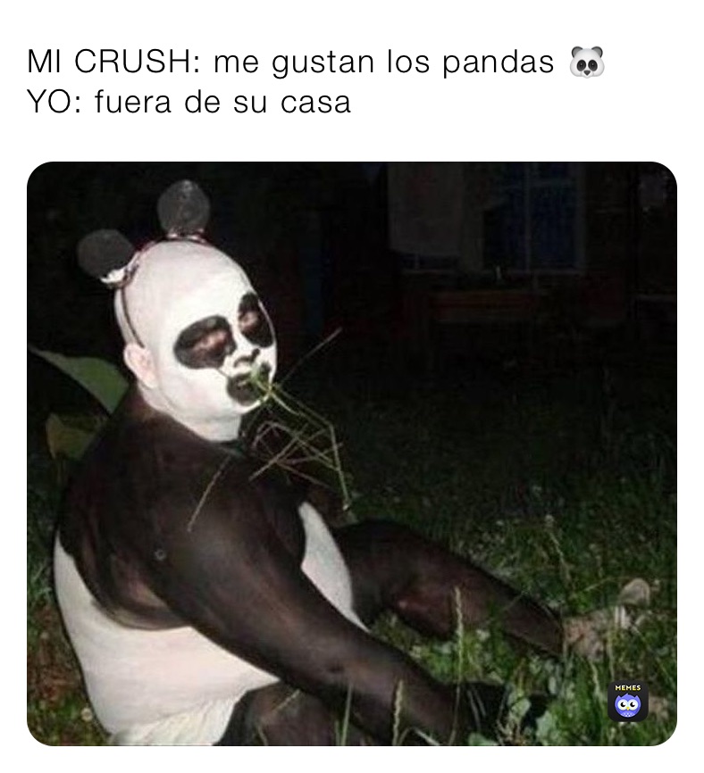 MI CRUSH: me gustan los pandas 🐼 
YO: fuera de su casa 