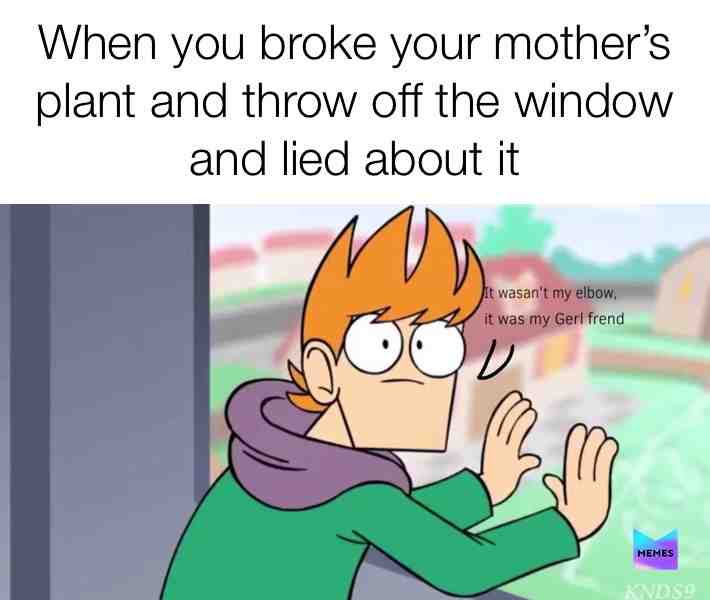 I made this good meme for Matt  #Eddsworld #matt #tord