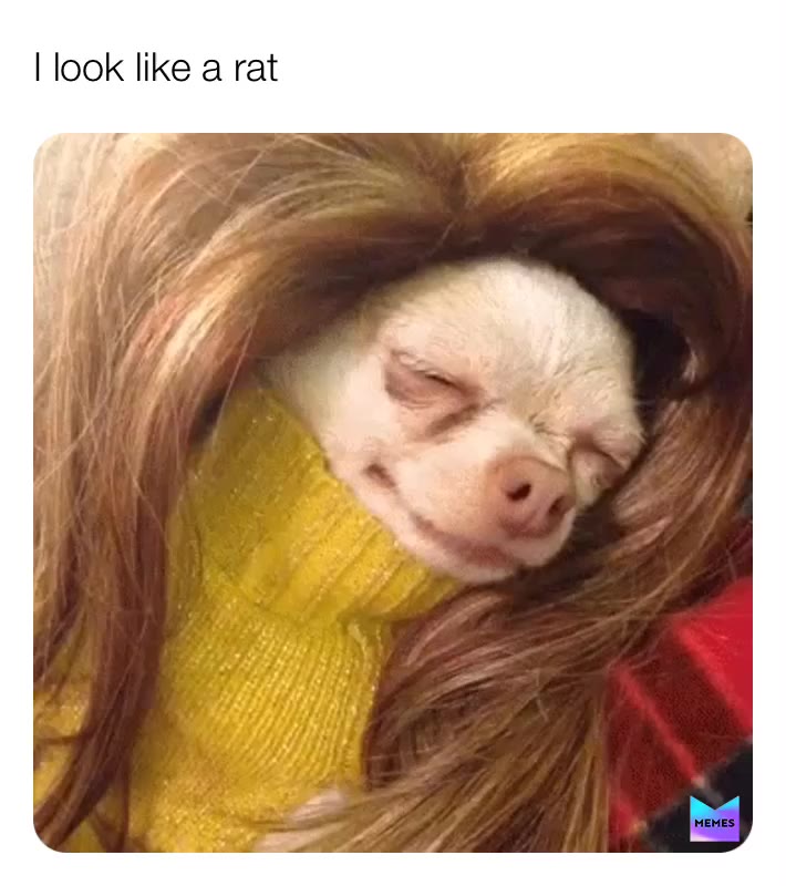 Meme shared by @bestteenager_memes