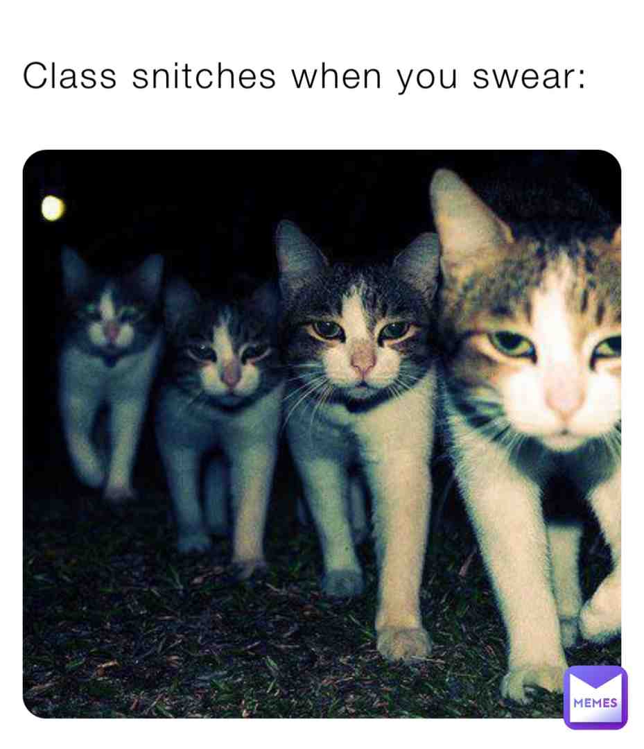 Meme shared by @zoy-zoy