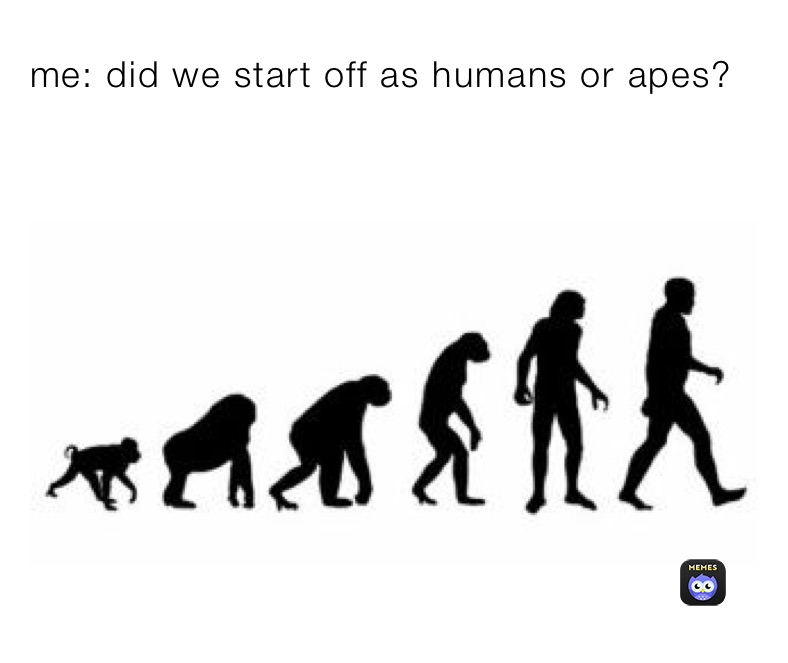 me: did we start off as humans or apes?